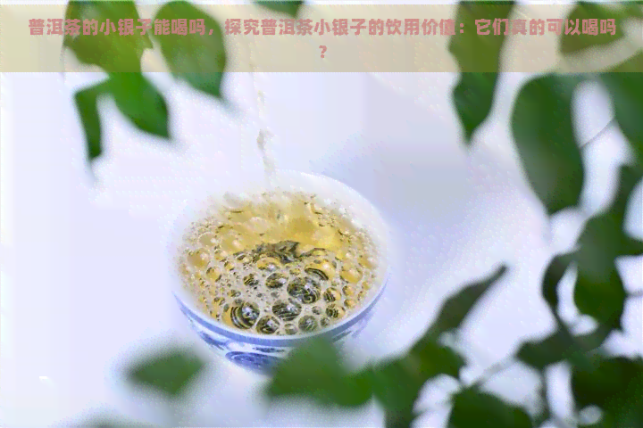 普洱茶的小银子能喝吗，探究普洱茶小银子的饮用价值：它们真的可以喝吗？