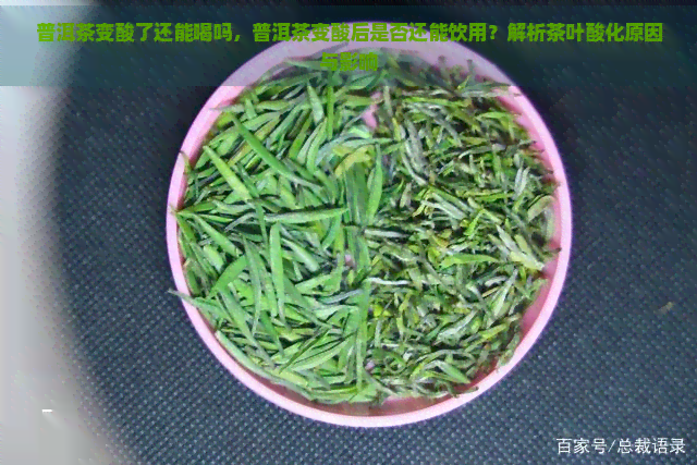 普洱茶变酸了还能喝吗，普洱茶变酸后是否还能饮用？解析茶叶酸化原因与影响