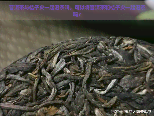 普洱茶与桔子皮一起泡茶吗，可以将普洱茶和桔子皮一起泡茶吗？