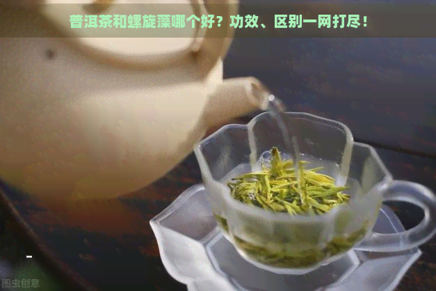 普洱茶和螺旋藻哪个好？功效、区别一网打尽！