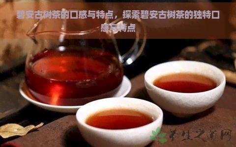 碧安古树茶的口感与特点，探索碧安古树茶的独特口感与特点