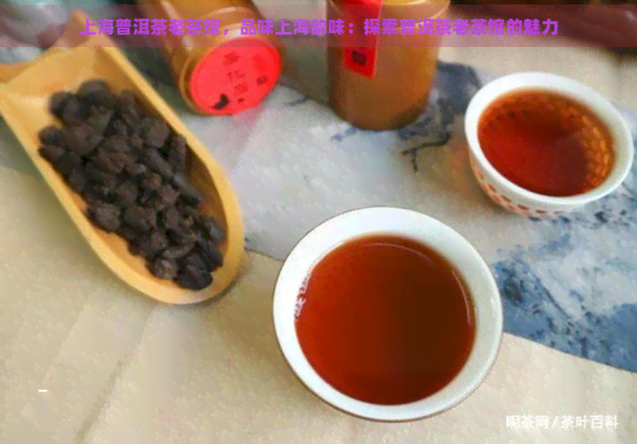 上海普洱茶老茶馆，品味上海韵味：探索普洱茶老茶馆的魅力