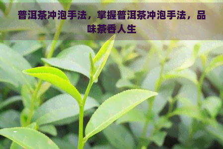 普洱茶冲泡手法，掌握普洱茶冲泡手法，品味茶香人生