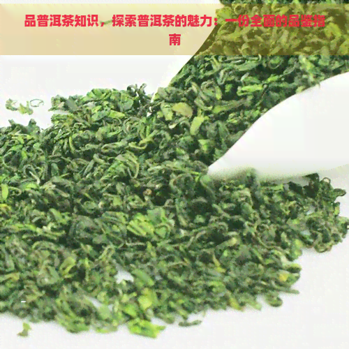 品普洱茶知识，探索普洱茶的魅力：一份全面的品鉴指南