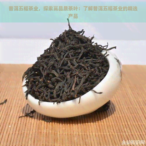 普洱五福茶业，探索高品质茶叶：了解普洱五福茶业的精选产品