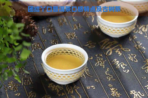 团结丫口普洱茶口感特点及古树茶