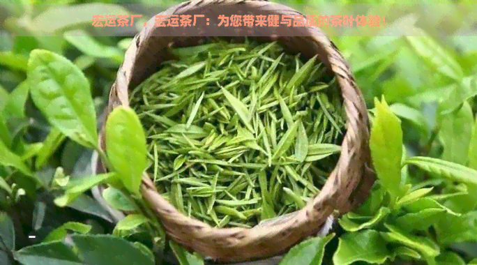 宏运茶厂，宏运茶厂：为您带来健与品质的茶叶体验！