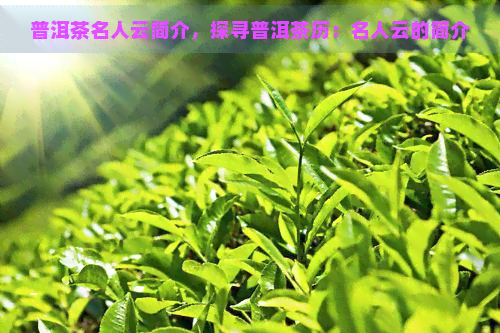 普洱茶名人云简介，探寻普洱茶历：名人云的简介