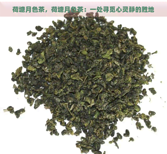 荷塘月色茶，荷塘月色茶：一处寻觅心灵静的胜地