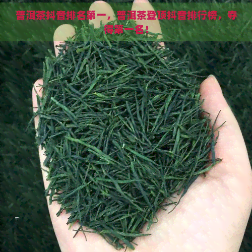 普洱茶抖音排名之一，普洱茶登顶抖音排行榜，夺得之一名！