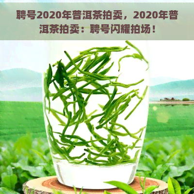 聘号2020年普洱茶拍卖，2020年普洱茶拍卖：聘号闪耀拍场！