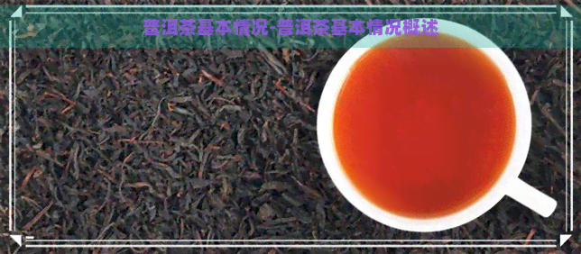 普洱茶基本情况-普洱茶基本情况概述