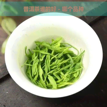 普洱茶谁的好 - 哪个品种