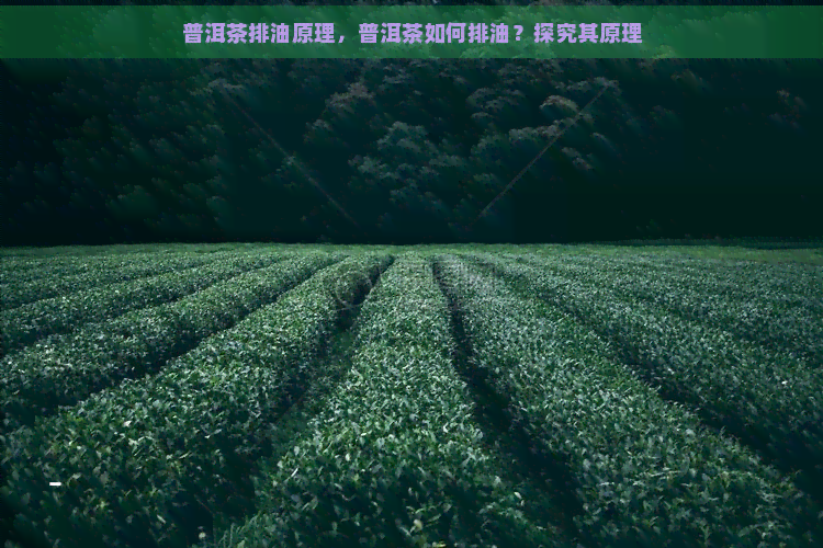 普洱茶排油原理，普洱茶如何排油？探究其原理