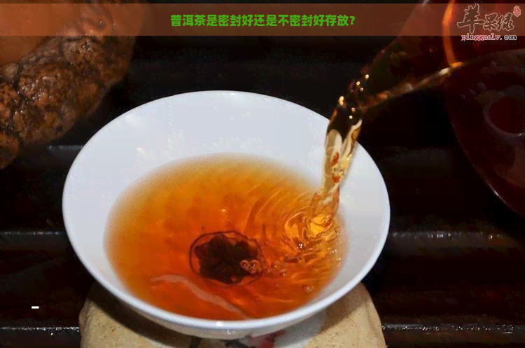 普洱茶是密封好还是不密封好存放？