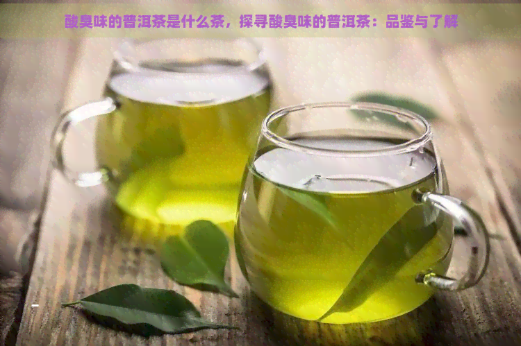 酸臭味的普洱茶是什么茶，探寻酸臭味的普洱茶：品鉴与了解