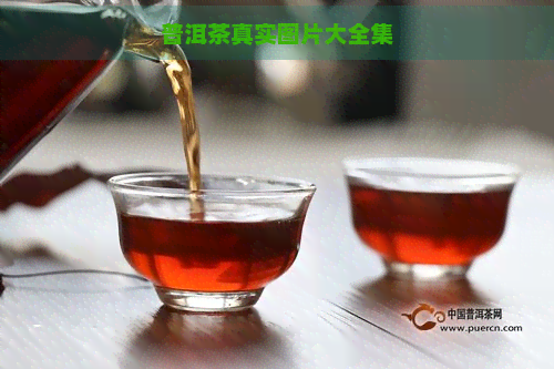 普洱茶真实图片大全集