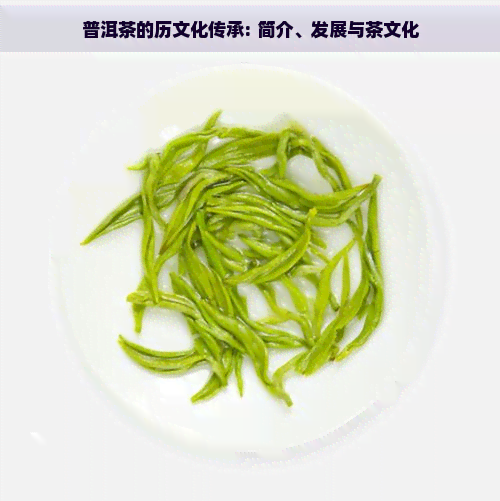 普洱茶的历文化传承: 简介、发展与茶文化