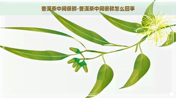 普洱茶中间很碎-普洱茶中间很碎怎么回事