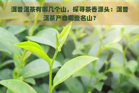 洱普洱茶有哪几个山，探寻茶香源头：洱普洱茶产自哪些名山？