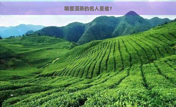 喝普洱茶的名人是谁？