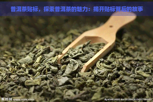 普洱茶贴标，探索普洱茶的魅力：揭开贴标背后的故事