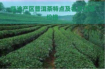 临沧产区普洱茶特点及名茶口感价格