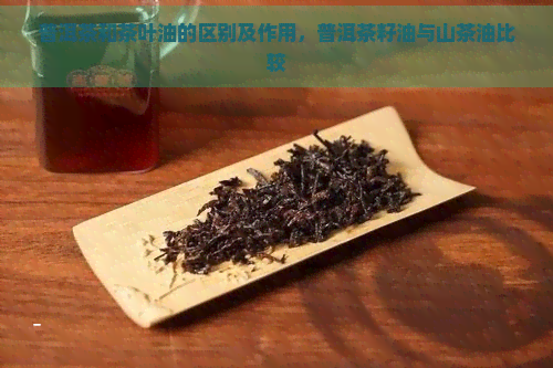 普洱茶和茶叶油的区别及作用，普洱茶籽油与山茶油比较