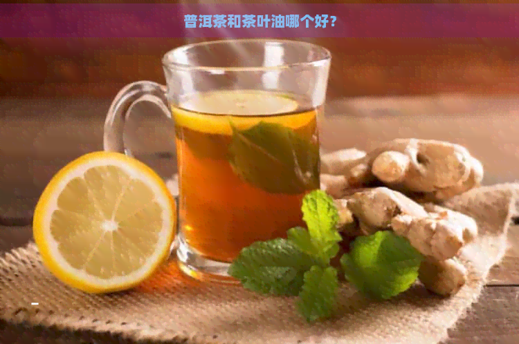 普洱茶和茶叶油哪个好？