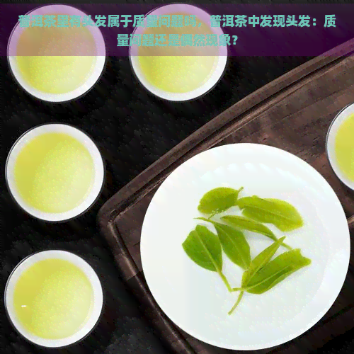 普洱茶里有头发属于质量问题吗，普洱茶中发现头发：质量问题还是偶然现象？