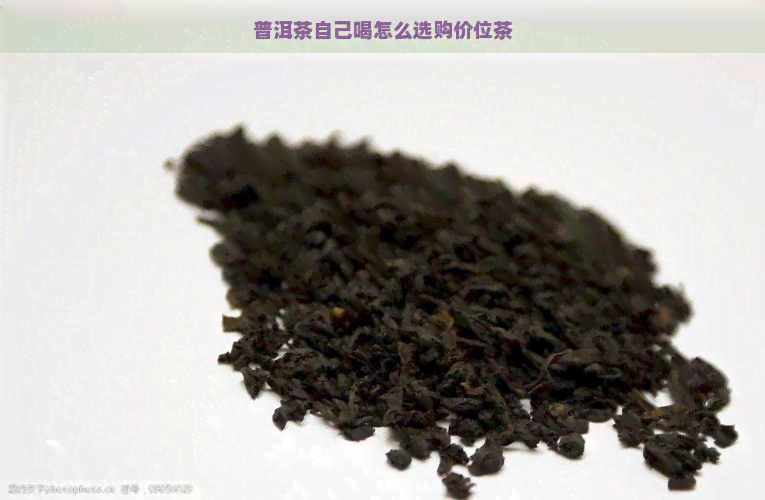 普洱茶自己喝怎么选购价位茶