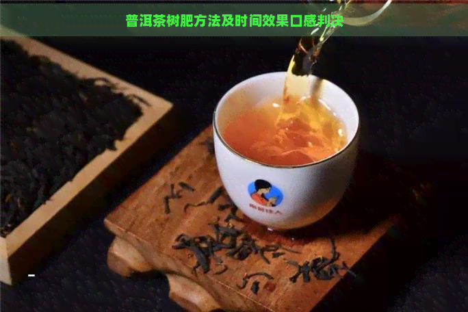 普洱茶树肥方法及时间效果口感判决