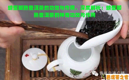 螃蟹脚熟普洱茶的功效与作用，深度解析：螃蟹脚熟普洱茶的神奇功效与作用