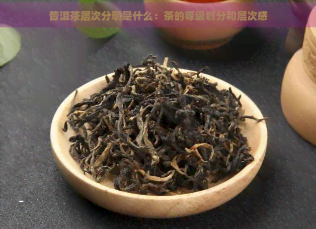 普洱茶层次分明是什么：茶的等级划分和层次感