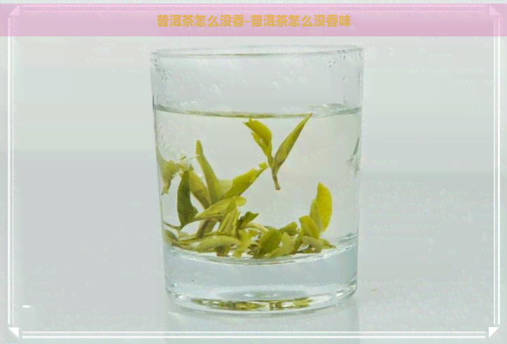 普洱茶怎么没香-普洱茶怎么没香味