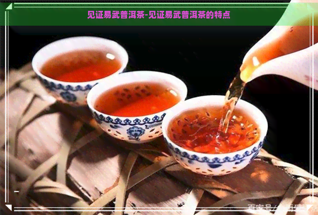 见证易武普洱茶-见证易武普洱茶的特点