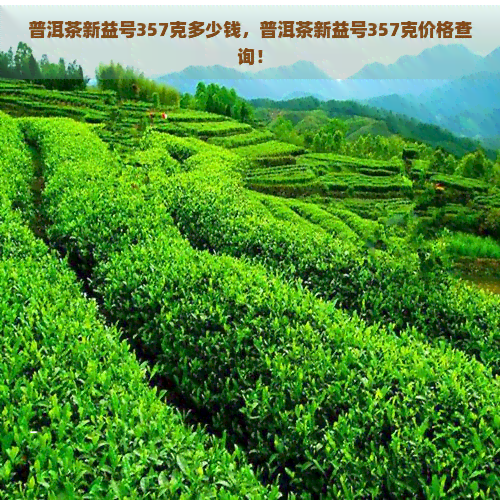 普洱茶新益号357克多少钱，普洱茶新益号357克价格查询！