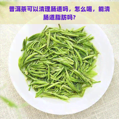 普洱茶可以清理肠道吗，怎么喝，能清肠道脂肪吗?