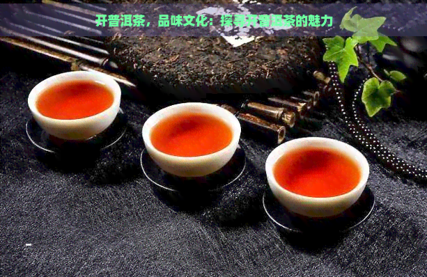 开普洱茶，品味文化：探寻开普洱茶的魅力