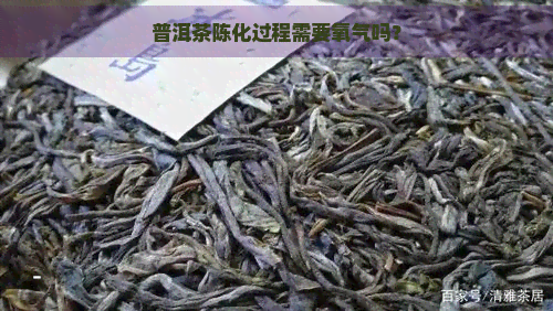 普洱茶陈化过程需要氧气吗？