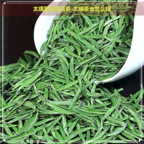 太璞紫娟普洱茶-太璞茶业怎么样