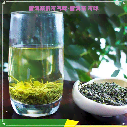 普洱茶的霉气味-普洱茶 霉味