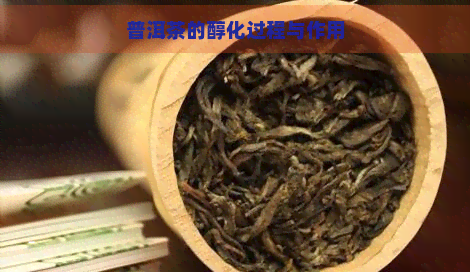 普洱茶的醇化过程与作用