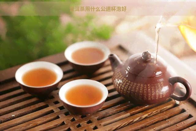 普洱茶用什么公道杯泡好