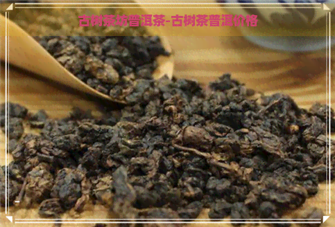 古树茶坊普洱茶-古树茶普洱价格