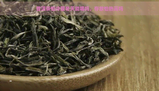 普洱茶怕冷藏冬天能喝吗，存放怕热高吗