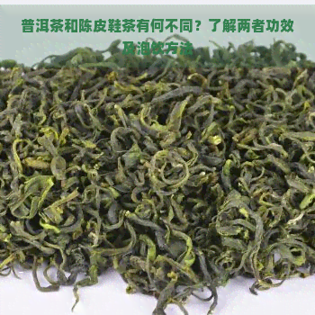 普洱茶和陈皮鞋茶有何不同？了解两者功效及泡饮方法