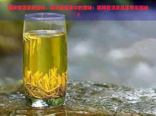 哪种普洱茶发甜味，探寻普洱茶中的甜味：哪种普洱茶品质带来甜味？