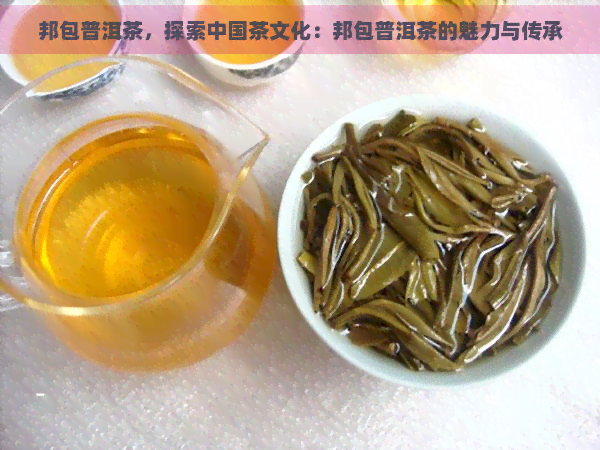 邦包普洱茶，探索中国茶文化：邦包普洱茶的魅力与传承