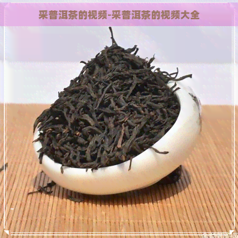 采普洱茶的视频-采普洱茶的视频大全